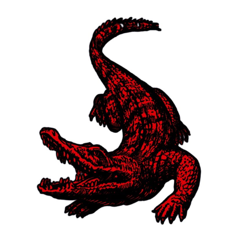 Skatesocietymag logo